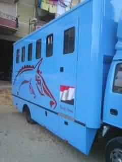 مواصفات وأسعار صندوق نقل الخيول بمصر Horse Box